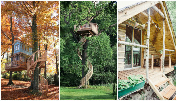 Baumhaus-Collage