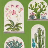 Terrariums Wallpaper