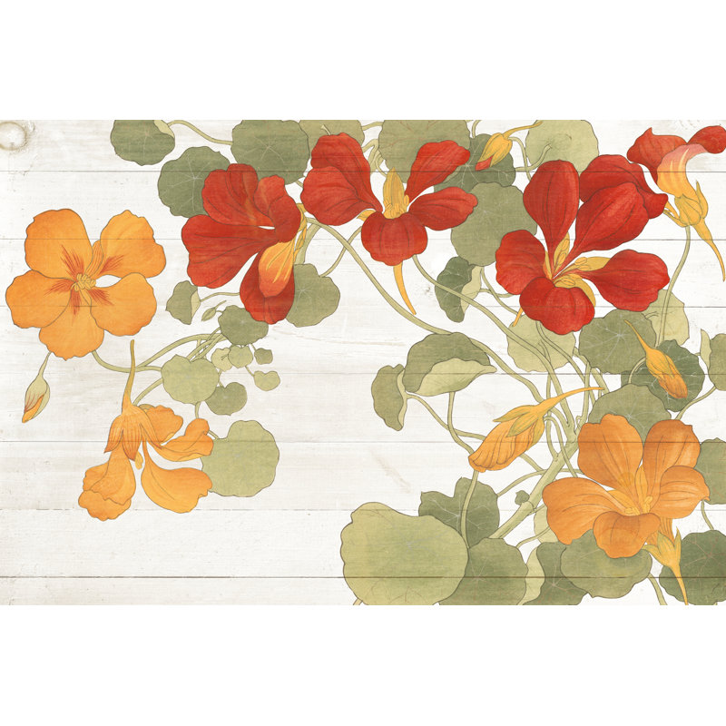 Summer Nasturtiums Cottage, H 24 po x l 36 po x P 1,25 po