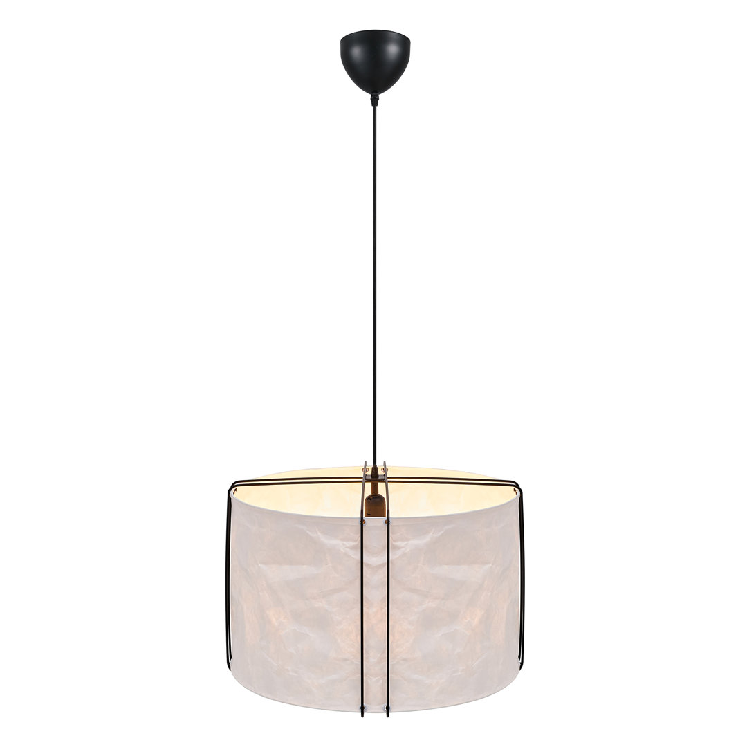 1 - Light Novelty Pendant