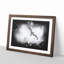 Flying Seagull - Picture Frame Graphic Art Print-56862989-56862995