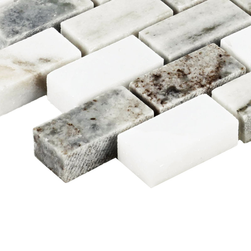 Marble Collection 12" x 12" Polished Natural Stone Accent Tile in Panaro Blend, Panaro Blend