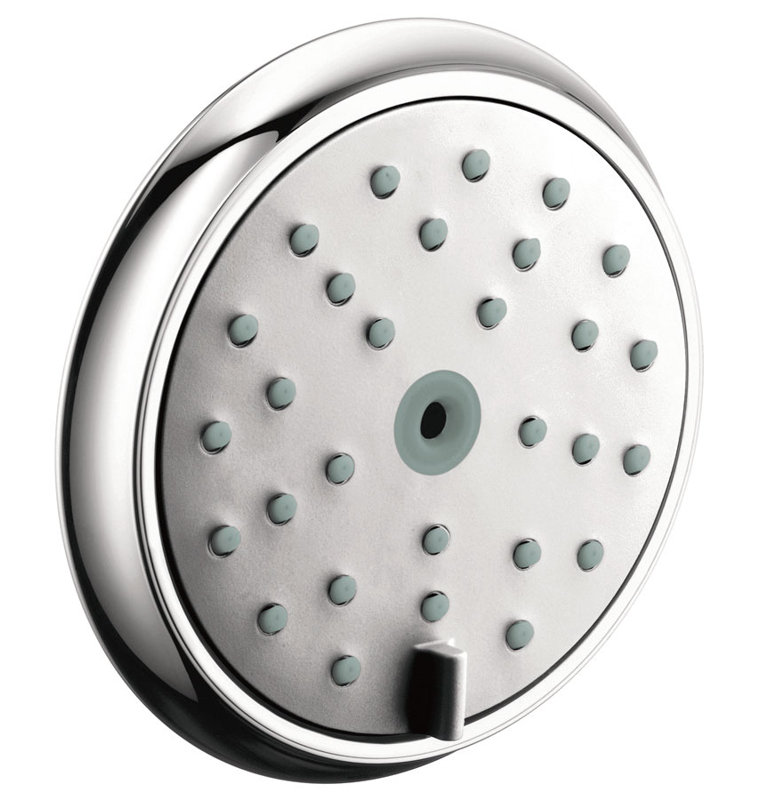 Raindance C Rain Adjustable Body Spray with QuickClean, Chrome