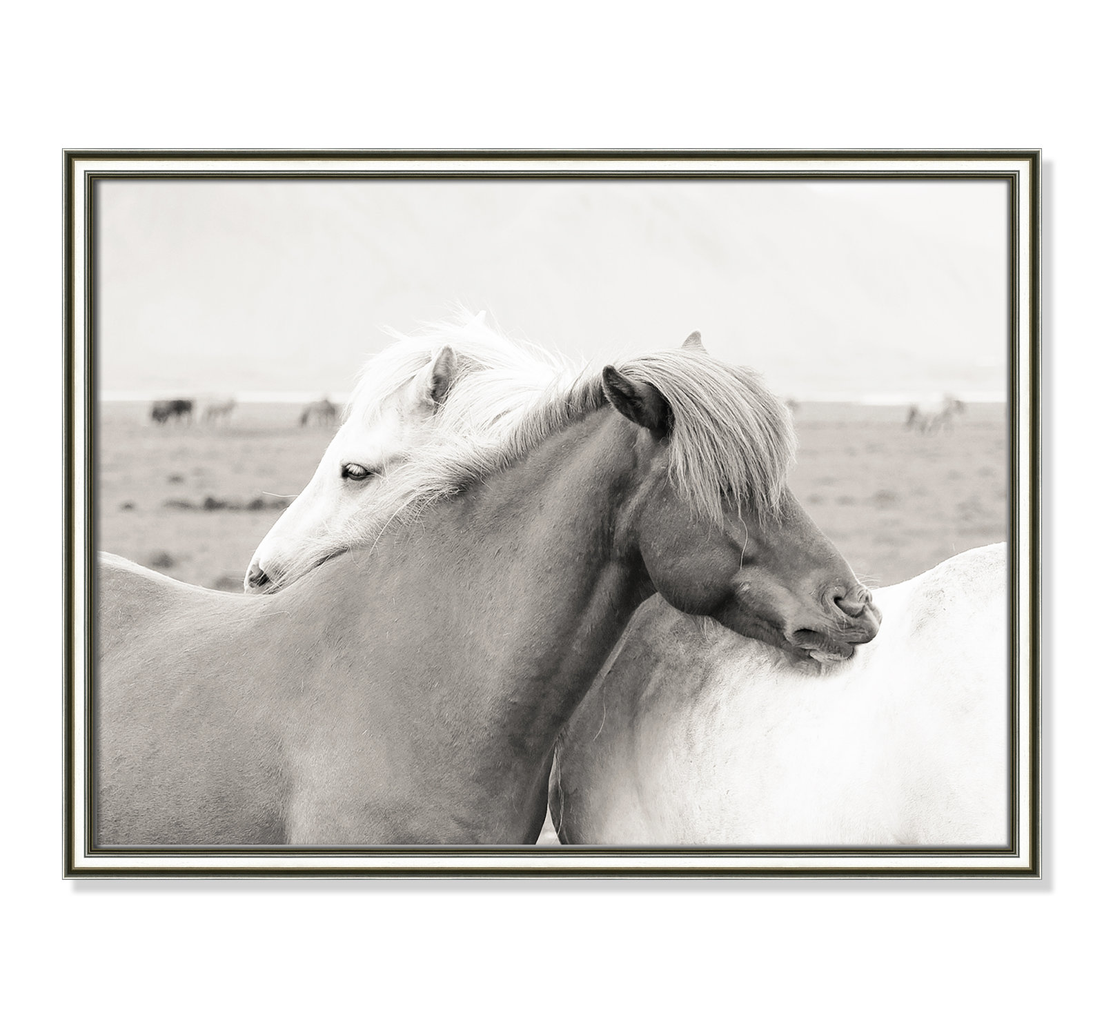 Melanie "Icelandic Meadow Horses" Print, 18.25" H x 24.25" W x 0.88" D, Silver Framed
