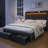 LED Bed Frame with 2 Drawers Pockets and Upholstered Wingback Headboard-74042680-99234376