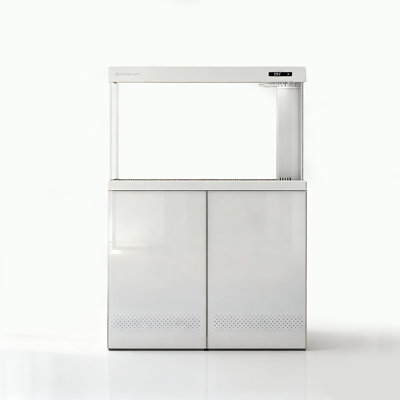 Simple and Modern Home-Style Aquariums Tank