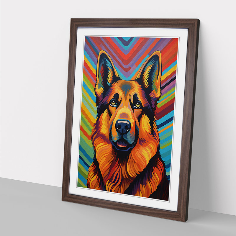 German Shepherd Op - Framed Print, Walnut Framed, 34cm H x 25cm W x 3cm D