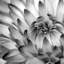 « fibonacci ii », reproduction de photo sur toile-74603676-21472843-74639662