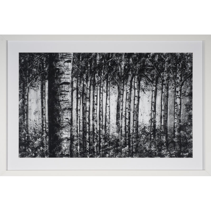 Birch Forest Print by H.Scott