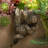 Gerow Three Toed Sloth Pot Hanger Ornament