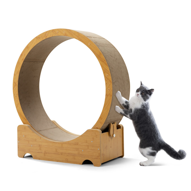 Roue d'exercice pour tapis roulant Cat
