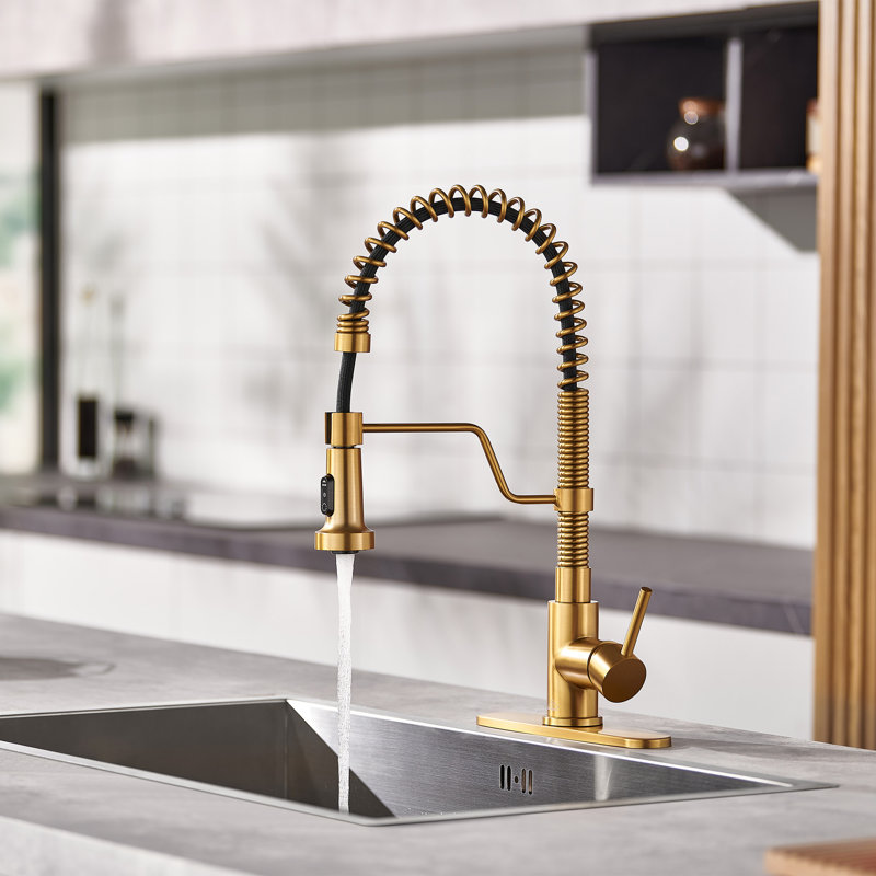 Bolden CASAINC 1.8 GPM Spring Neck Pull Down Kitchen Faucet with Deck Plate, Brushed Gold