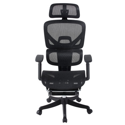 Ivy Bronx Office Chair with Headrest