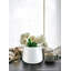 Pot à fleurs en céramique blanche vieillie Arlo Ebern Designs - vase pour plantes, fleurs et arrangements décoratifs, décor de maison de campagne moderne pour la maison et le jardin, 9 po de diamètre et 7 po de hauteur, paquet 1
