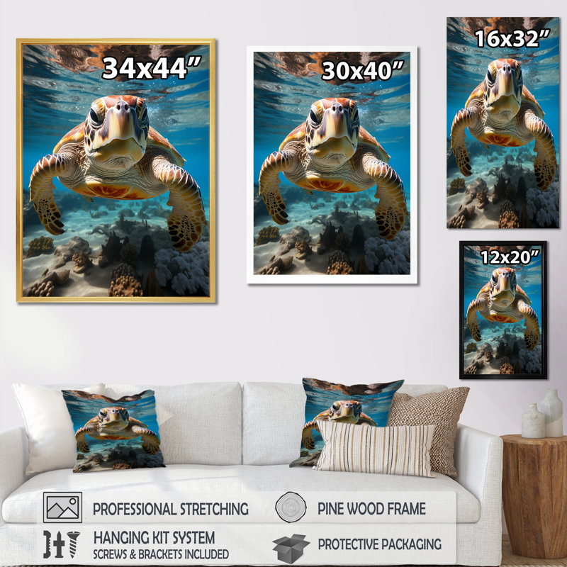 Reproduction d'art mural Turle Marine Life Encounter II, H 32 po x l 24 po, Cadre flottant noir
