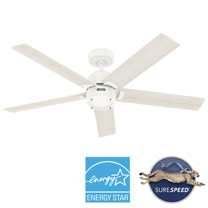 Hunter 52 Inch Erling ENERGY STAR® Ceiling Fan With Lights And Remote, White, White/White Wood