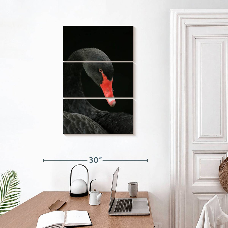 Tête de cygne noir Brampt, H 32 po x l 20 po