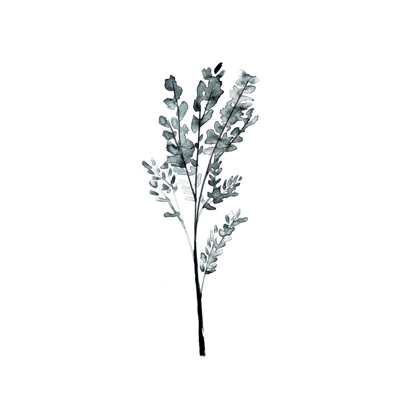 « herb » par albina bratcheva print, H 12 po x l 8 po x P 0,75 po, Toile tendue