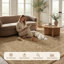 Tapis d'intérieur / extérieur Traditional-454001297-454001309