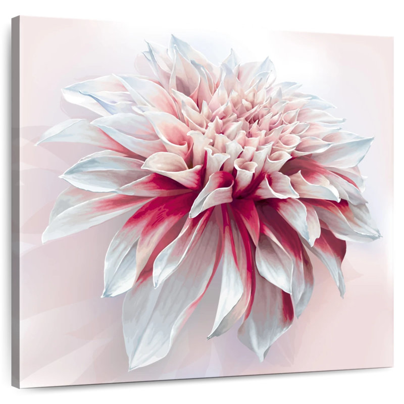 Harnek Red White Dahlia