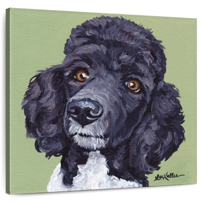 Standard Poodle Tommy