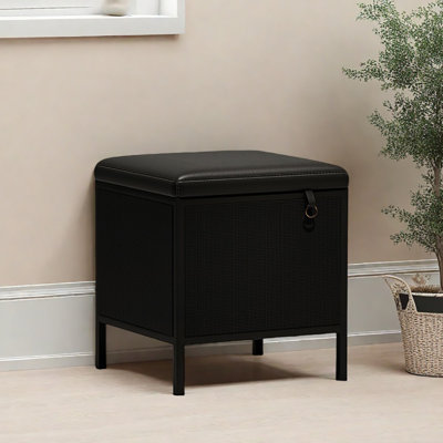 Rangement pour chaussures 15,4 po
