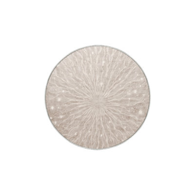 Machine Washable Beige Area Rug