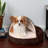 Faux Sheepskin Round Hooded Orthopedic Dog Bed-1941309776-1941309781
