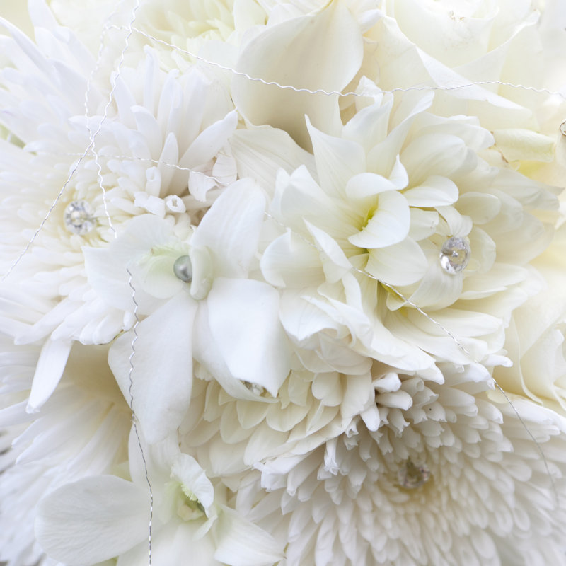 Background Of All White Flower - Wrapped Canvas Print, 30cm H x 30cm W