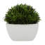Plante artificielle en pot Baywood 6,65 po