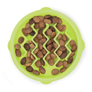 Petstages Kitty Slow Feeder Cat Bowl, Green