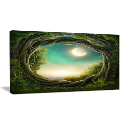 " Enchanted Dark Forest "