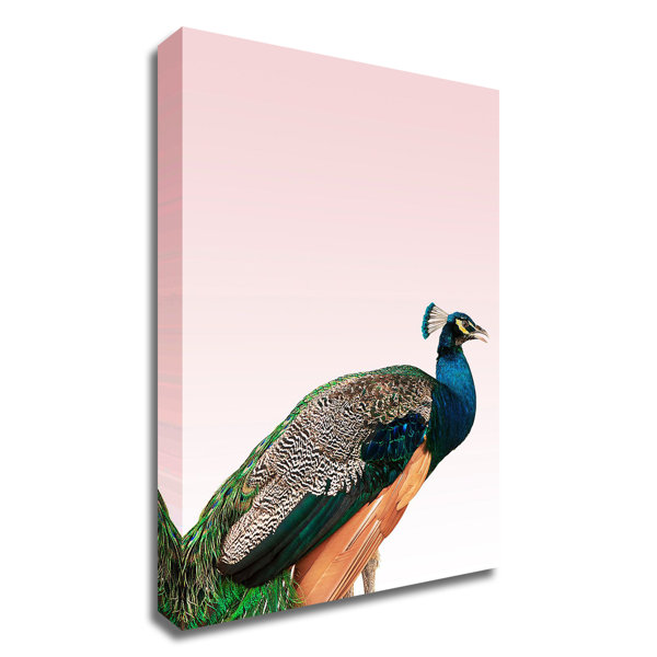 HomeRoots Peacock On Pink On Canvas Print | Wayfair