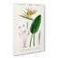 Bird of Paradise Flower by Charles D' Orbigny - Wrapped Canvas-55371199