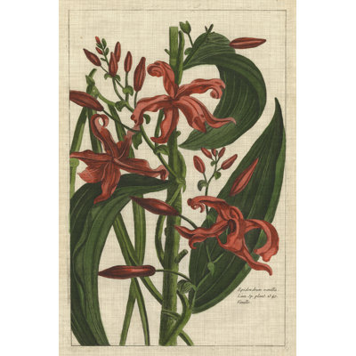 Botanical Study on Linen III 1 Piece Wrapped Canvas Painting