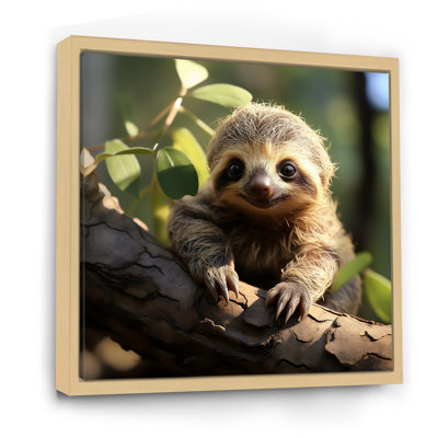 Baby Sloth Photo - Sloth Wall Art