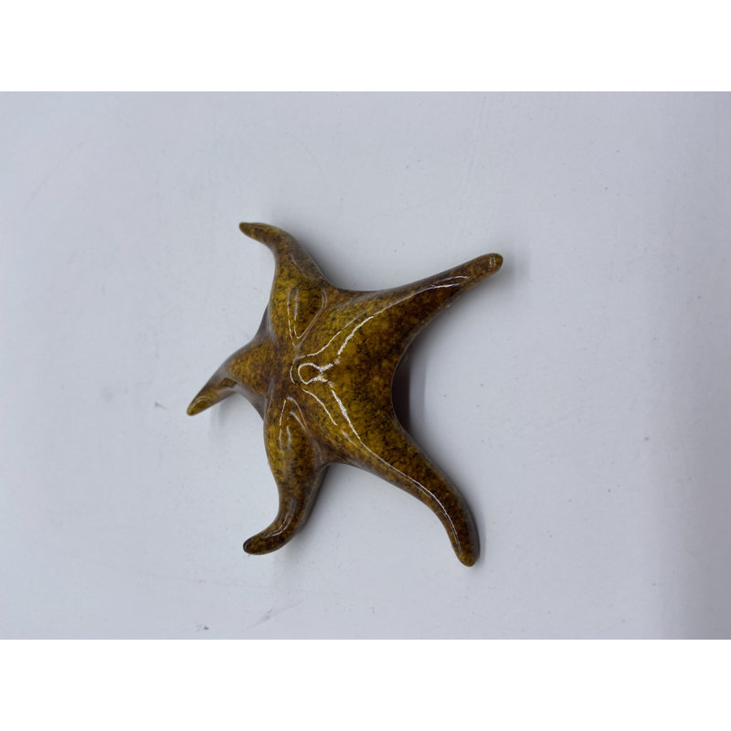 Étoile de mer Kyra