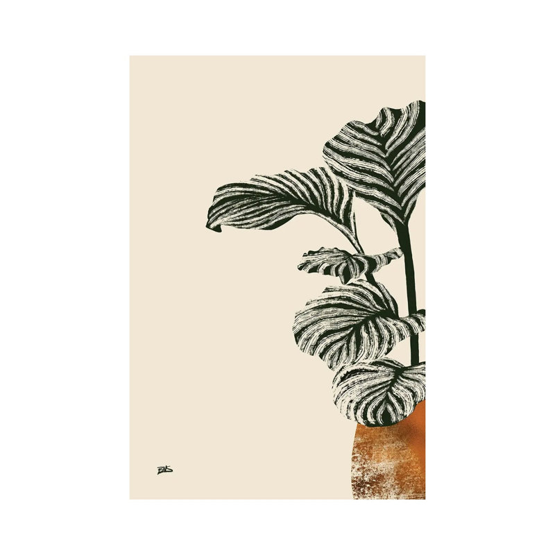 Calas I by Bria Nicole - Print on Canvas, Wrapped Canvas, 30.48 cm H x 45.72 cm W