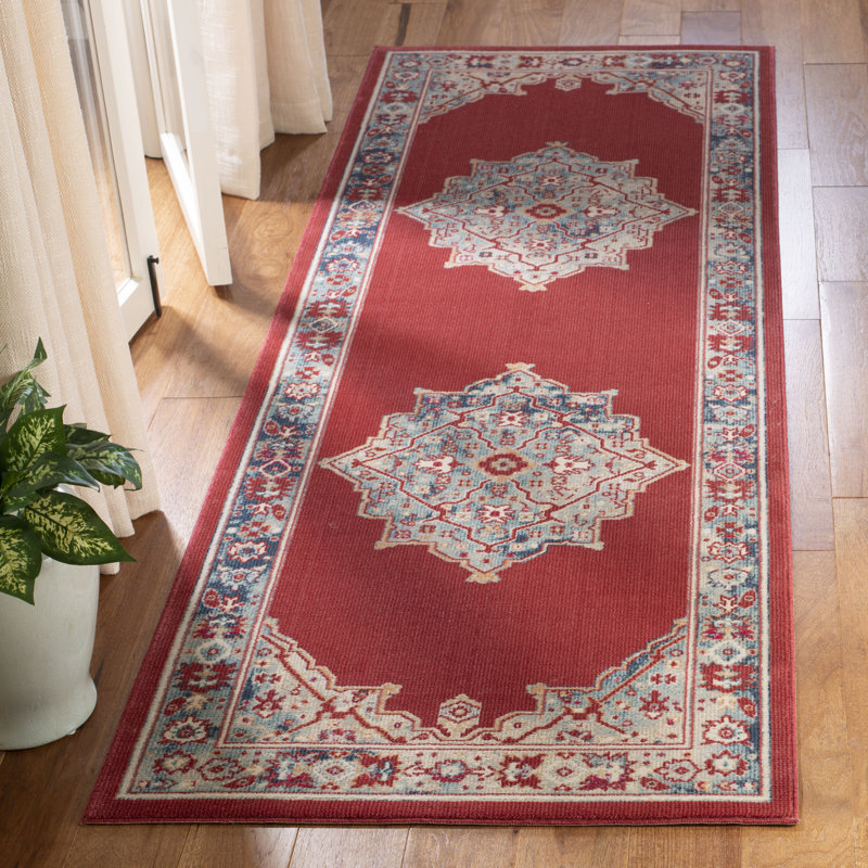 Doucet 300 Pes/Cotton/Pp/Latex Oriental Rug in Red/Aqua, Runner 2'9" x 8'