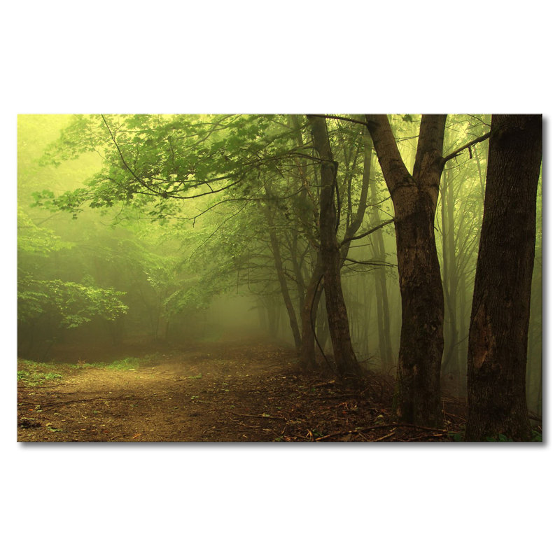 Wrapped Canvas Print, 80cm H x 120cm W x 2cm D