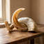 Pair of Polished African Merino Horn