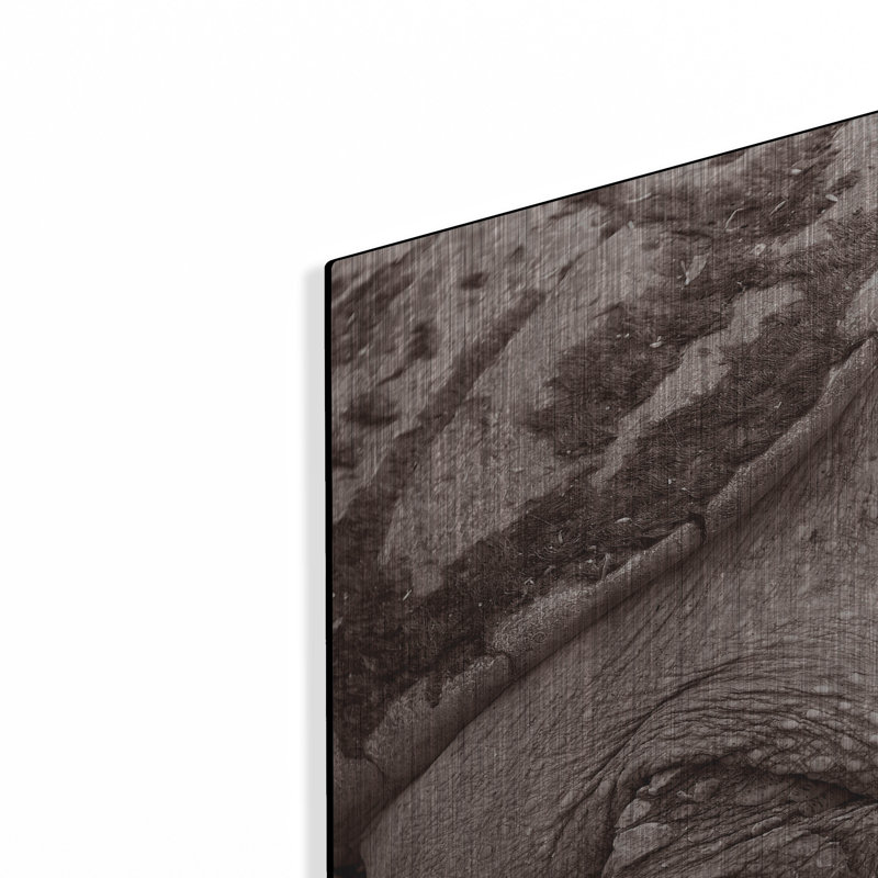 «Buffalo River 11» par Gordon Semmens, H 12 po x l 24 po