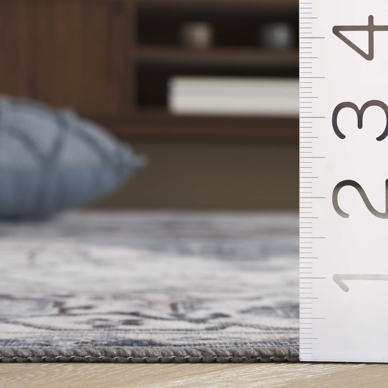 Mikali Machine Washable Non-Slip, Rectangle 69 x 122 cm
