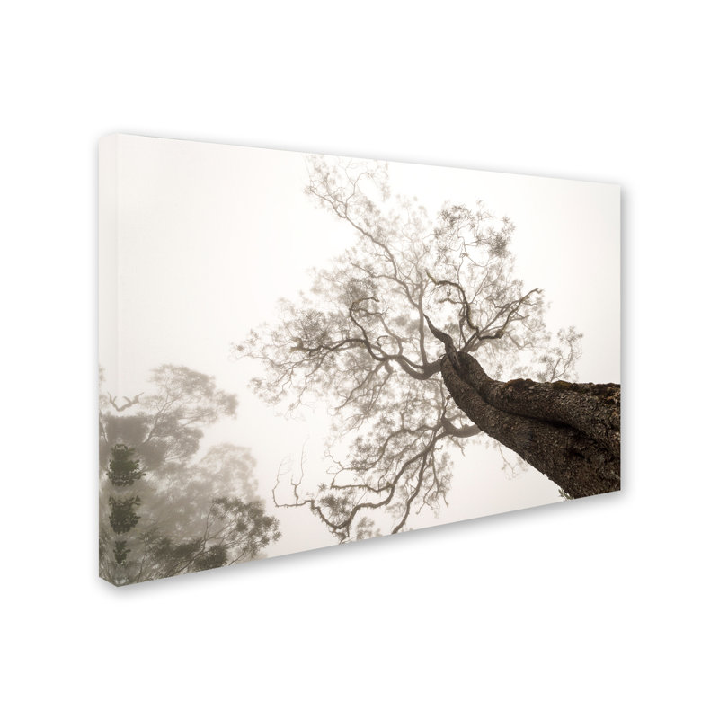 « entre le ciel et la terre », reproduction d’impression sur toile tendue, H 12 po x l 19 po