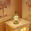 Ayni Metal Table Lamp
