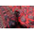 Rizbaft Red Rug 3'10" x 6'6"