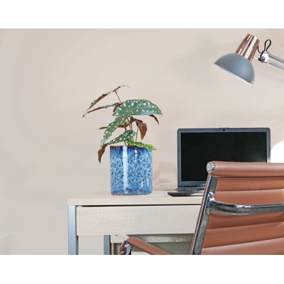Myers Ceramic Pot Planter
