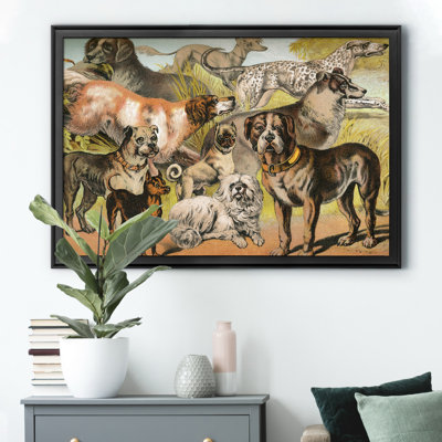 " Johnsons Dog Breeds II "