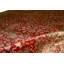 Hand Knotted Wool Oriental Area Rug