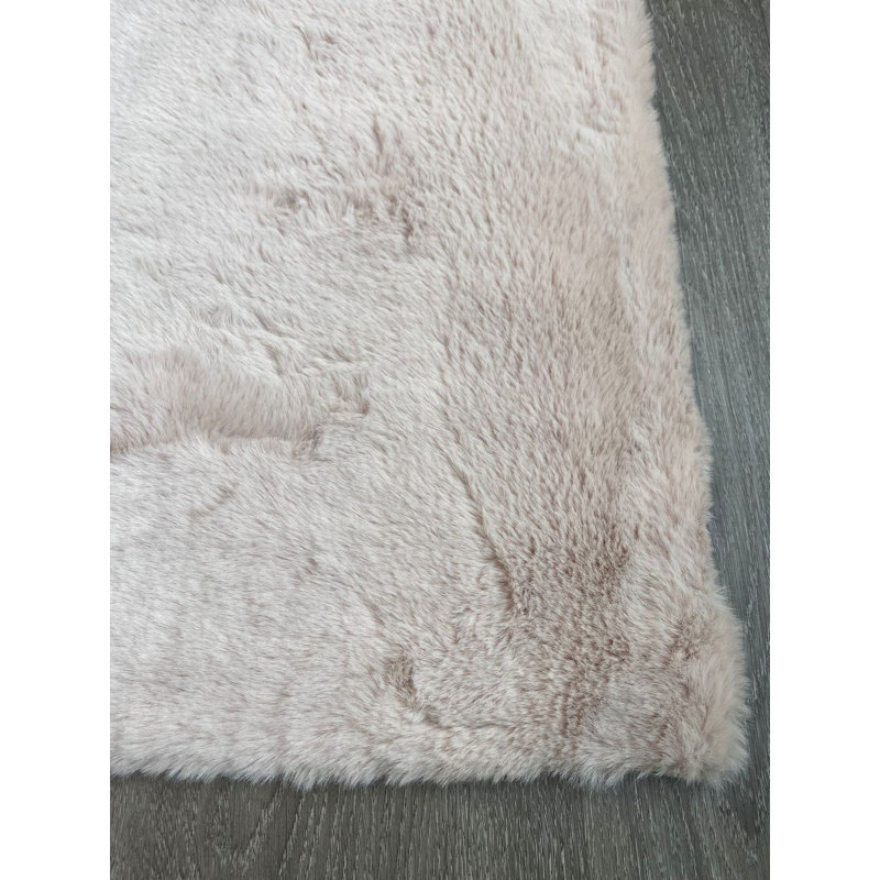 Tapis beige tissé à la machine, Rectangle 5 pi x 8 pi